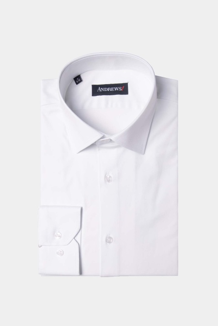 Shirts Business Regular