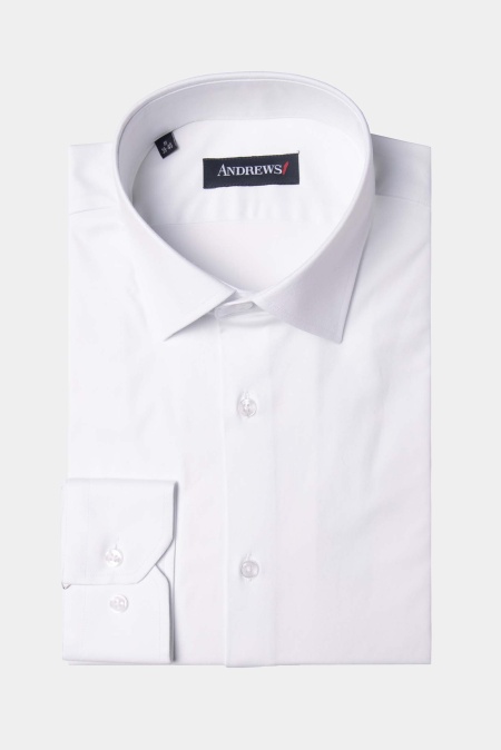 Shirts Business Regular