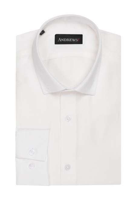 Shirts Business Regular