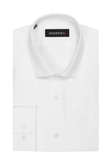 Shirts Business Regular