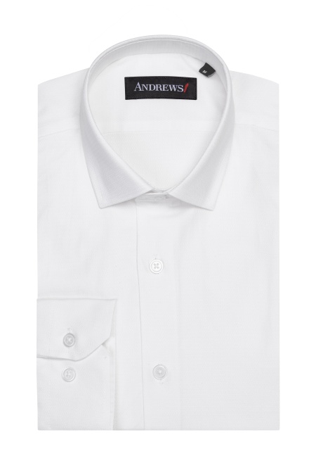 Shirts Business Regular