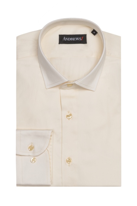 Shirts Business Regular