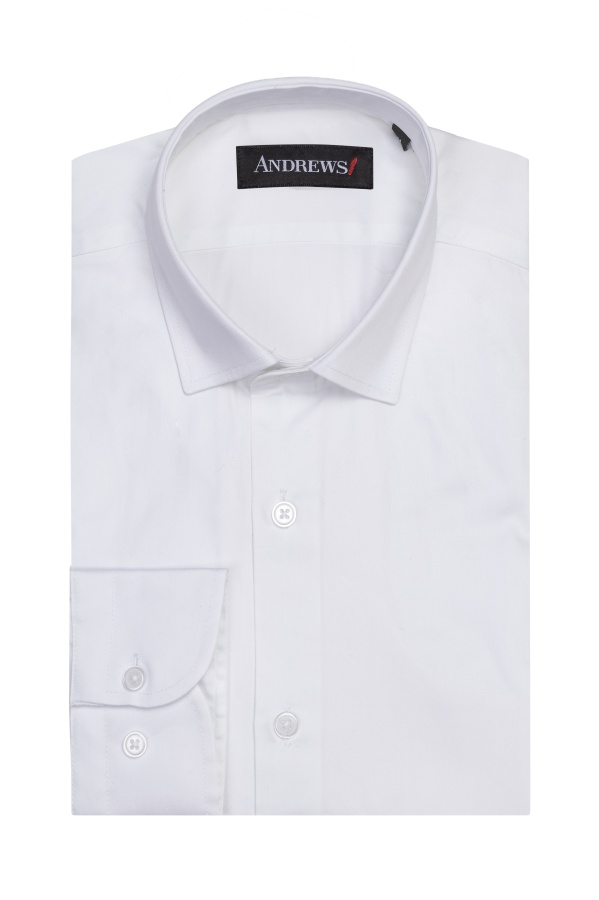 Shirts Business Regular