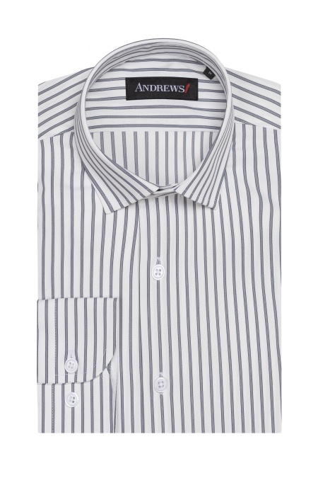 Shirts Business Regular