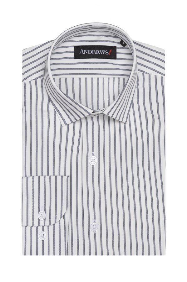 Shirts Business Regular