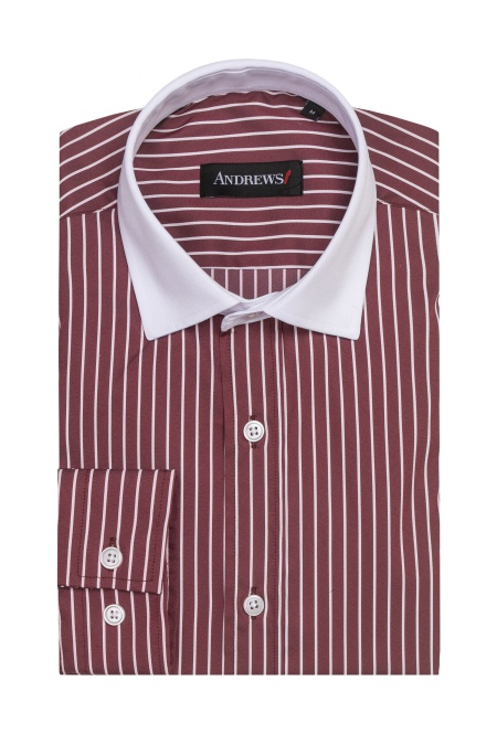 Shirts Business Active