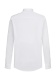 Shirts Business Active