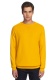Sweater Casual Active