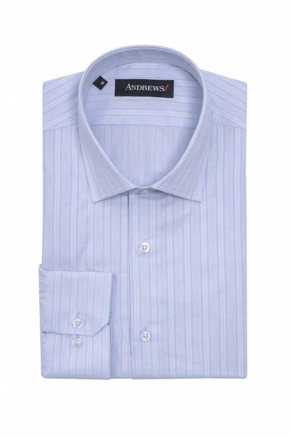 Shirts Business Regular