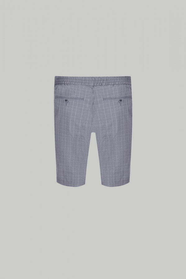 Shorts Smart Regular