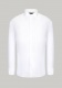Ризи Ceremony Regular