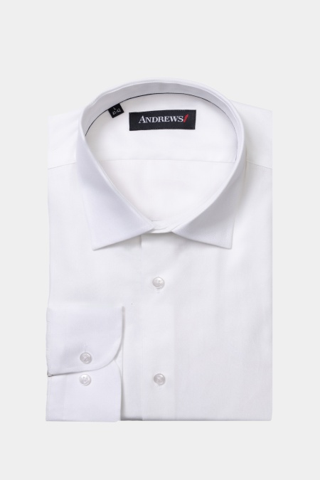 Shirts Business Regular