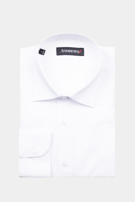 Shirts Business Regular