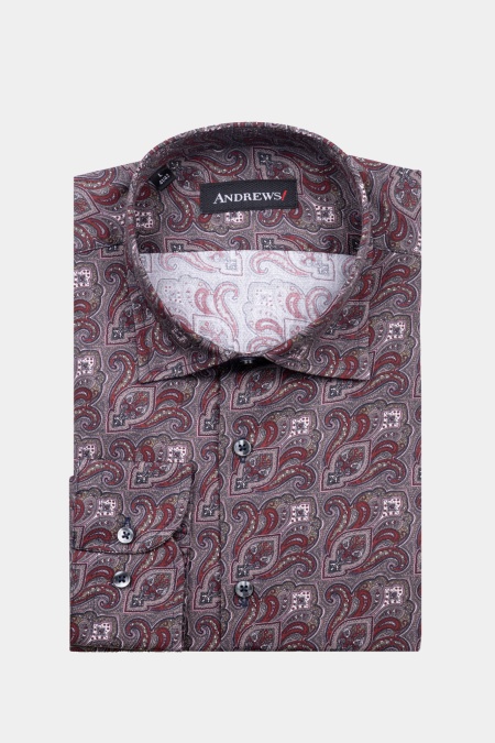 Shirts Smart Regular