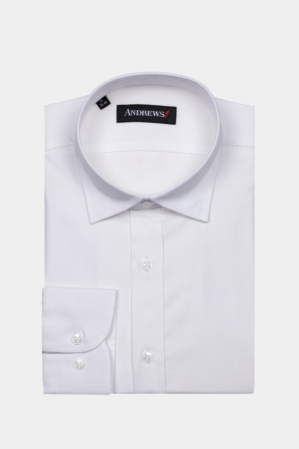 Shirts Business Regular