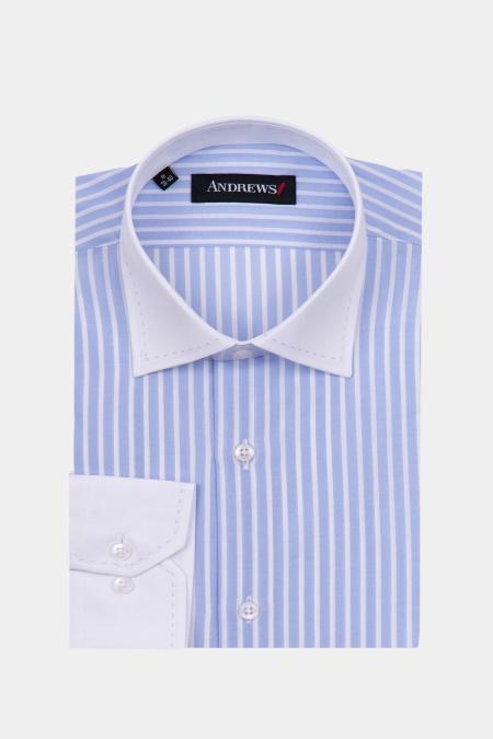 Shirts Business Regular